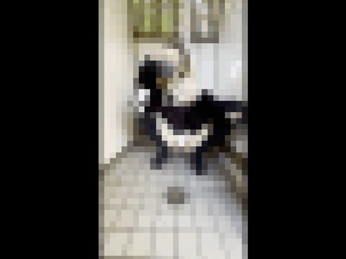 FC2-PPV-4108883 — [Limited Time And Quantity Wv] (1 Camera Special) A Blonde Housewife Who Just Gave Birth And Is Covered In Debt Exposes Herself Outside! Blowjob In The Toilet, Convulsions From Cunnilingus! ! The Face And Lewd Behavior Of A Woman Who Just Turned 20. A Candidate For Sex Is Nearby —