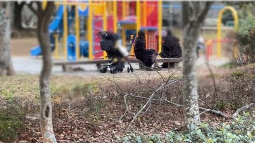 FC2-PPV-4821039 — [Individual] ** A Self-Proclaimed Influencer's Wife Was Playing With Her Friend In The Park And Was Taken Out In The Car… ~ Bonus Removed On December 31St —