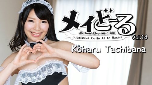 HEYZO-1904 — Maid Doll Vol.14 ~Master's Obedient Sex Doll~ – Tachibana Koharu —