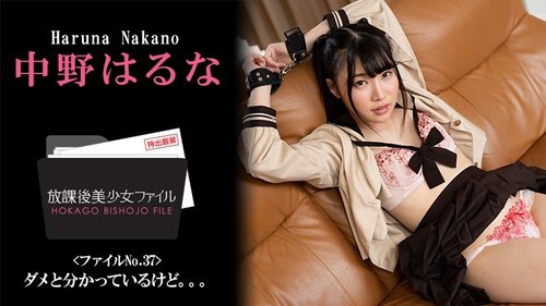 HEYZO-3044 — After School Beautiful Girl File No.37 ~I Know It's Wrong But…~ – Haruna Nakano —