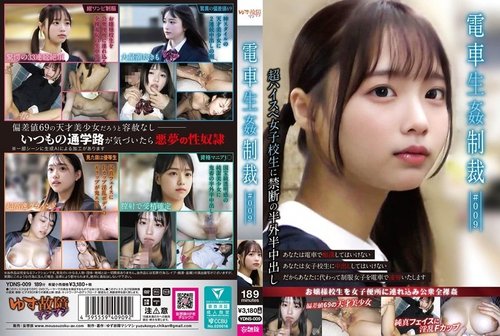 YDNS-009 — Train Rape Punishment #009 —